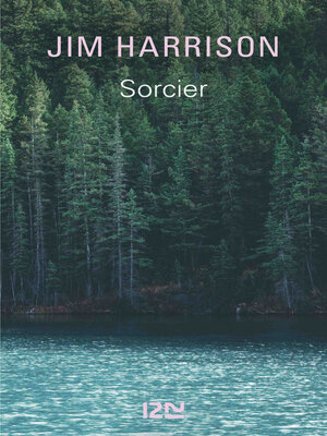cover image of Sorcier